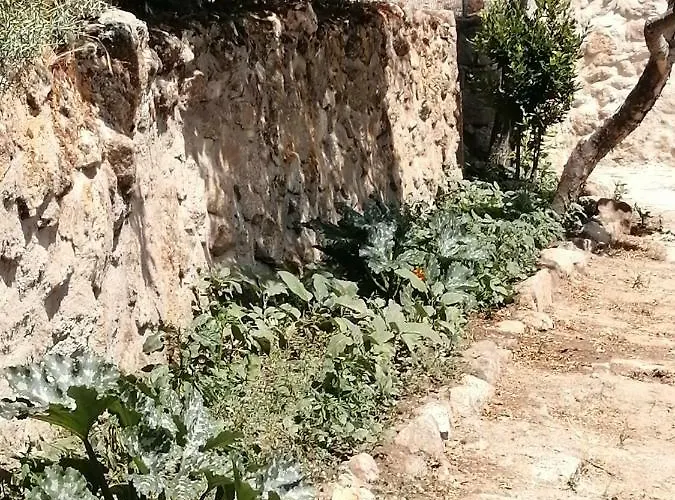 El Mirador Del Corneja Mesegar de Corneja